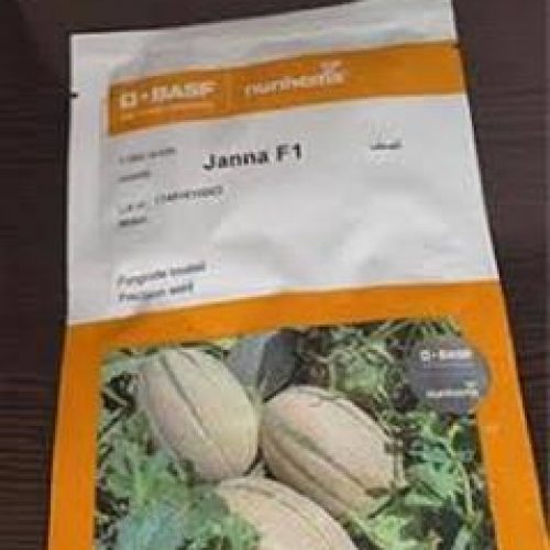 قیمت بذر خربزه جانا با کیفیت